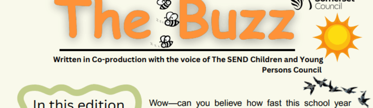 The Buzz – North Somerset Council SEND and Young Peoples Newsletter